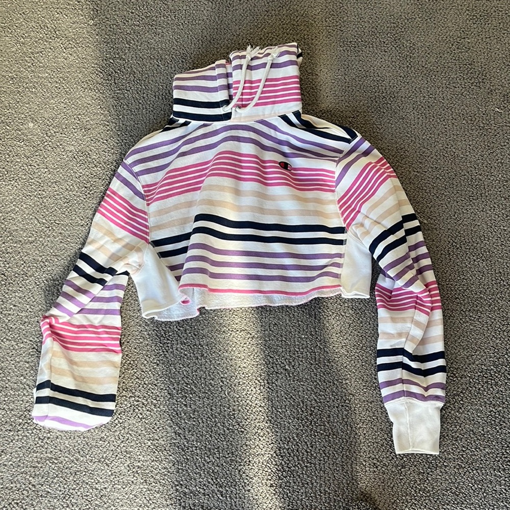 Champion Cropped Hoodie